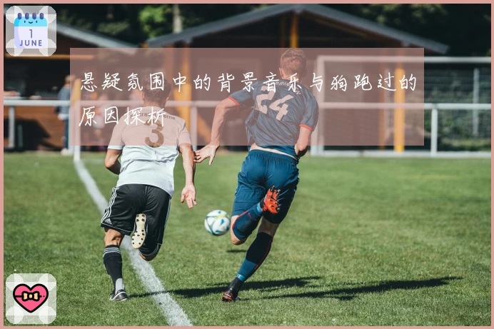 悬疑氛围中的背景音乐与狗跑过的原因探析