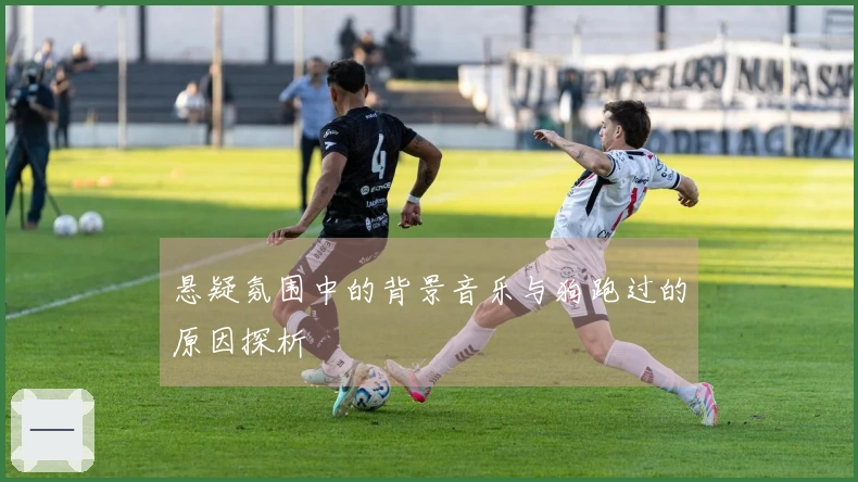 悬疑氛围中的背景音乐与狗跑过的原因探析